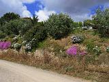 ENDURO SARDEGNA 2 Buggerru - 132